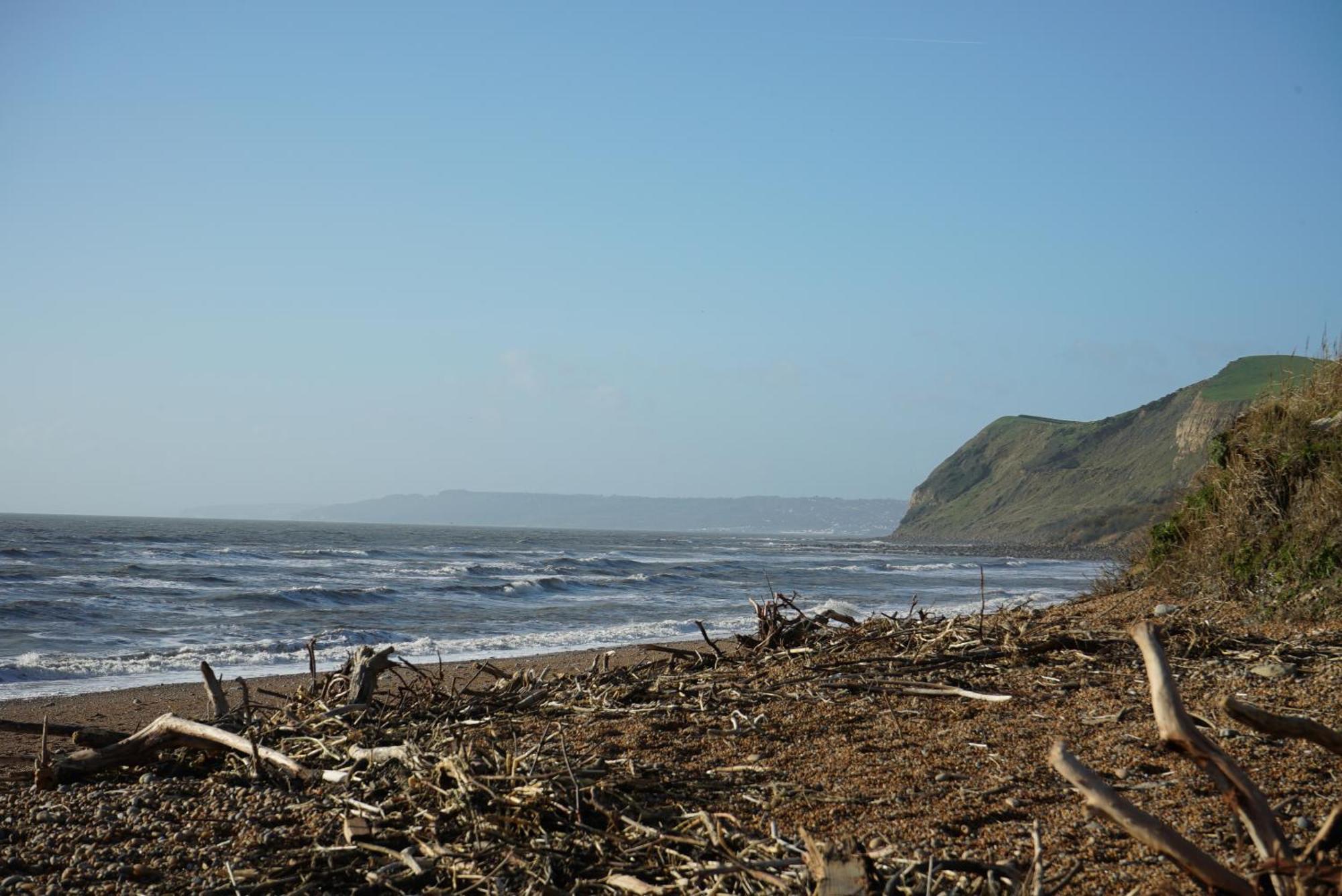 Golden Acre Jurassic Coastal ,eype Bridport