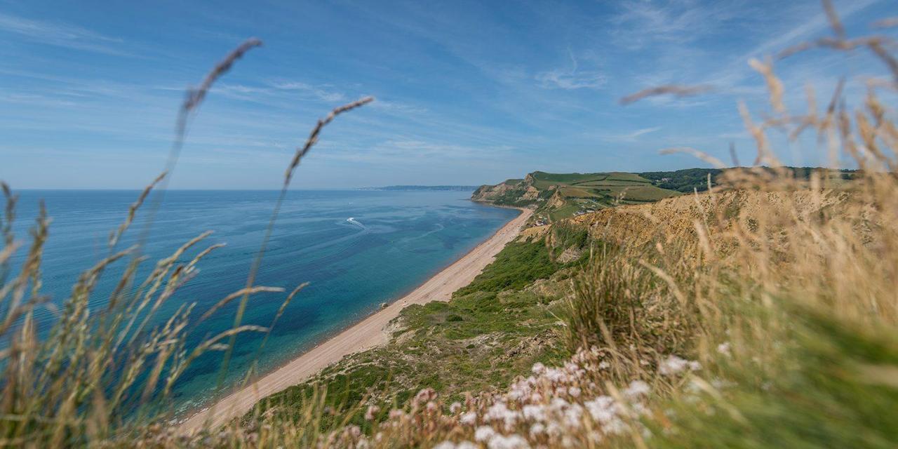 Golden Acre Jurassic Coastal ,eype *