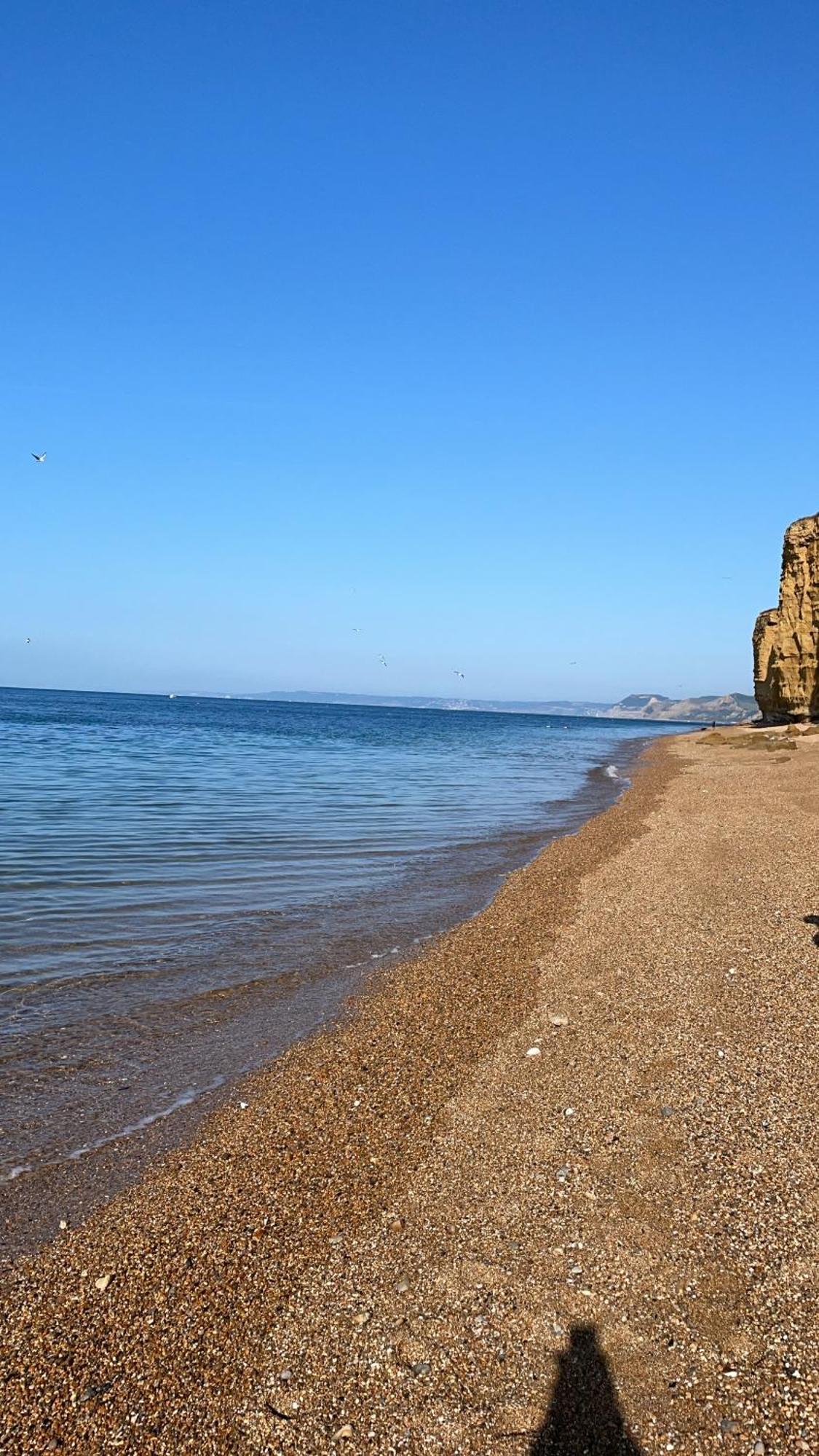 Golden Acre Jurassic Coastal ,eype
