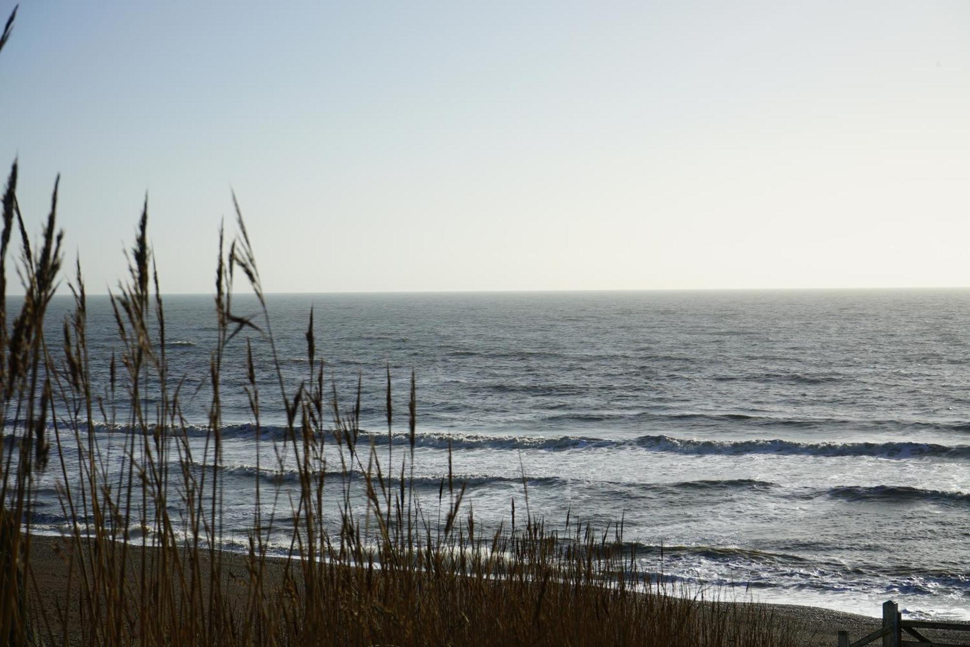 Golden Acre Jurassic Coastal ,eype * Bridport